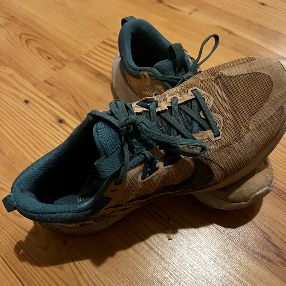 Nike Teal and Pink Trail Running Shoes